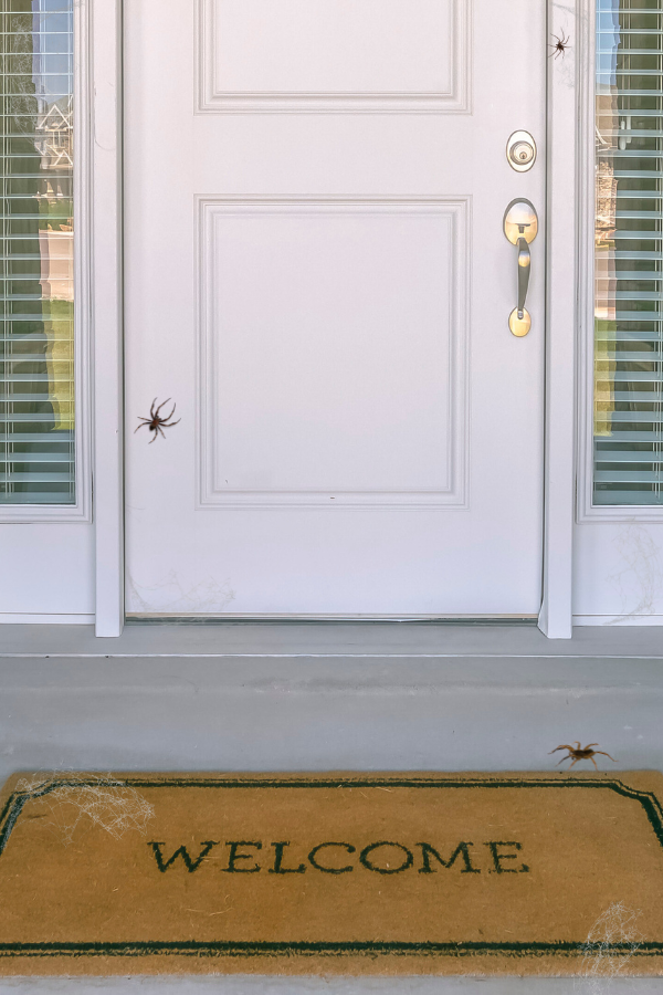 spider at door